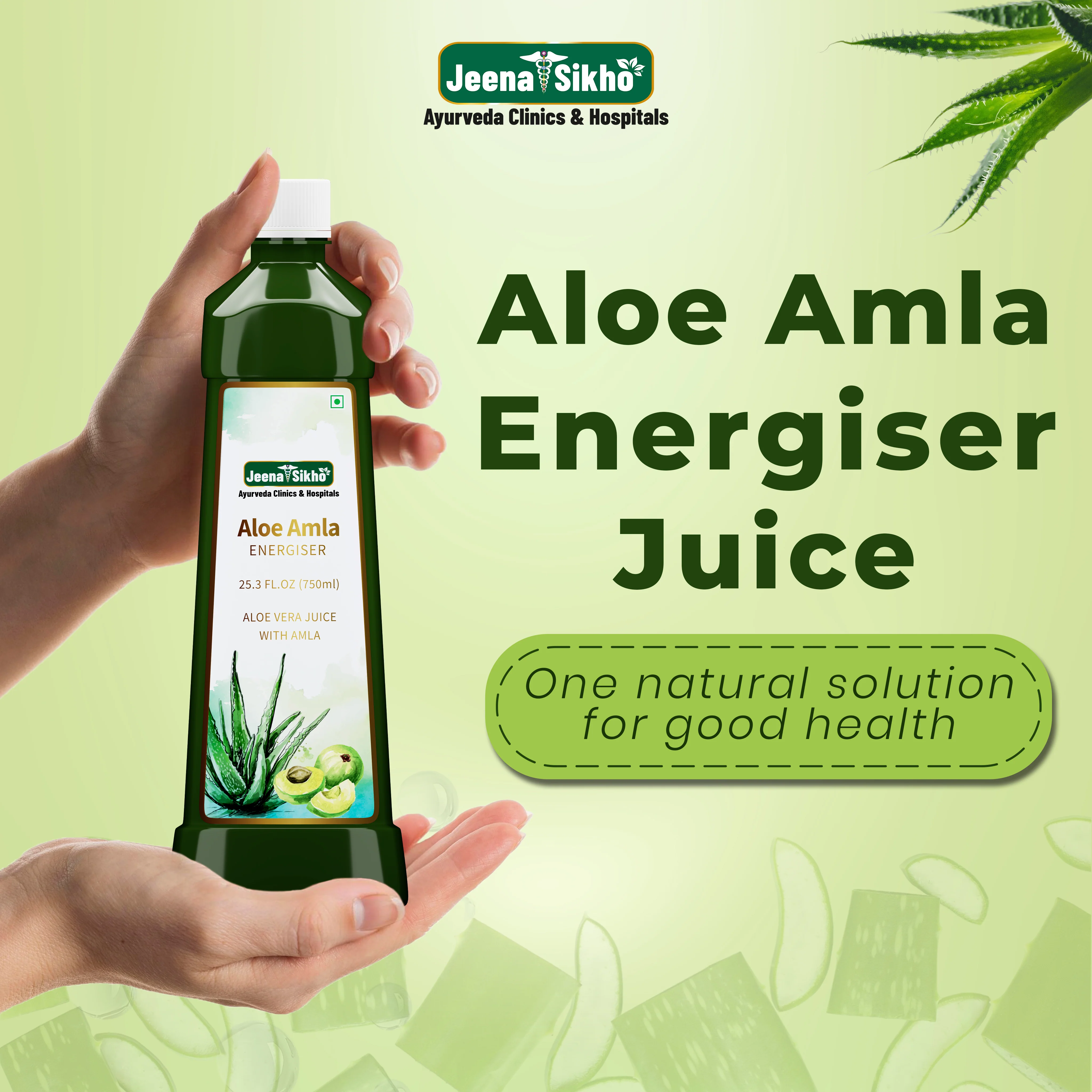 Aloe Amla Energizer Juice | Energy, Detox & Digestive Support - Image 3