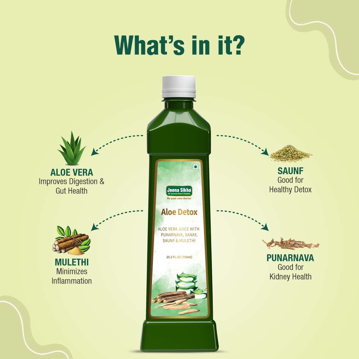Aloe Detox Juice | Ayurvedic Herbal Juice for Liver Support, Digestion & Daily Detox - Image 5