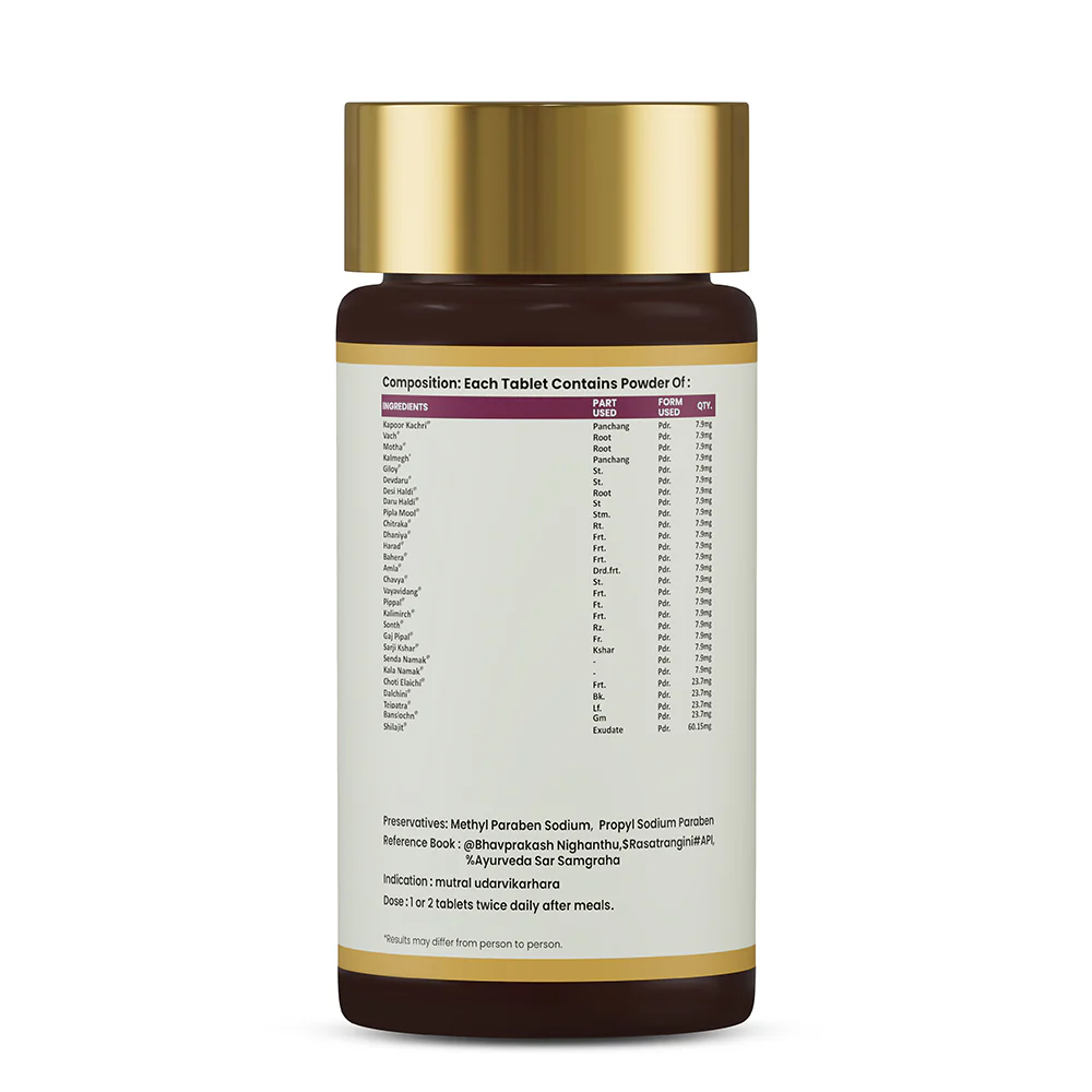Chander Vati Tablets | Ayurvedic Support for Urinary Comfort & Daily Wellness - Image 4