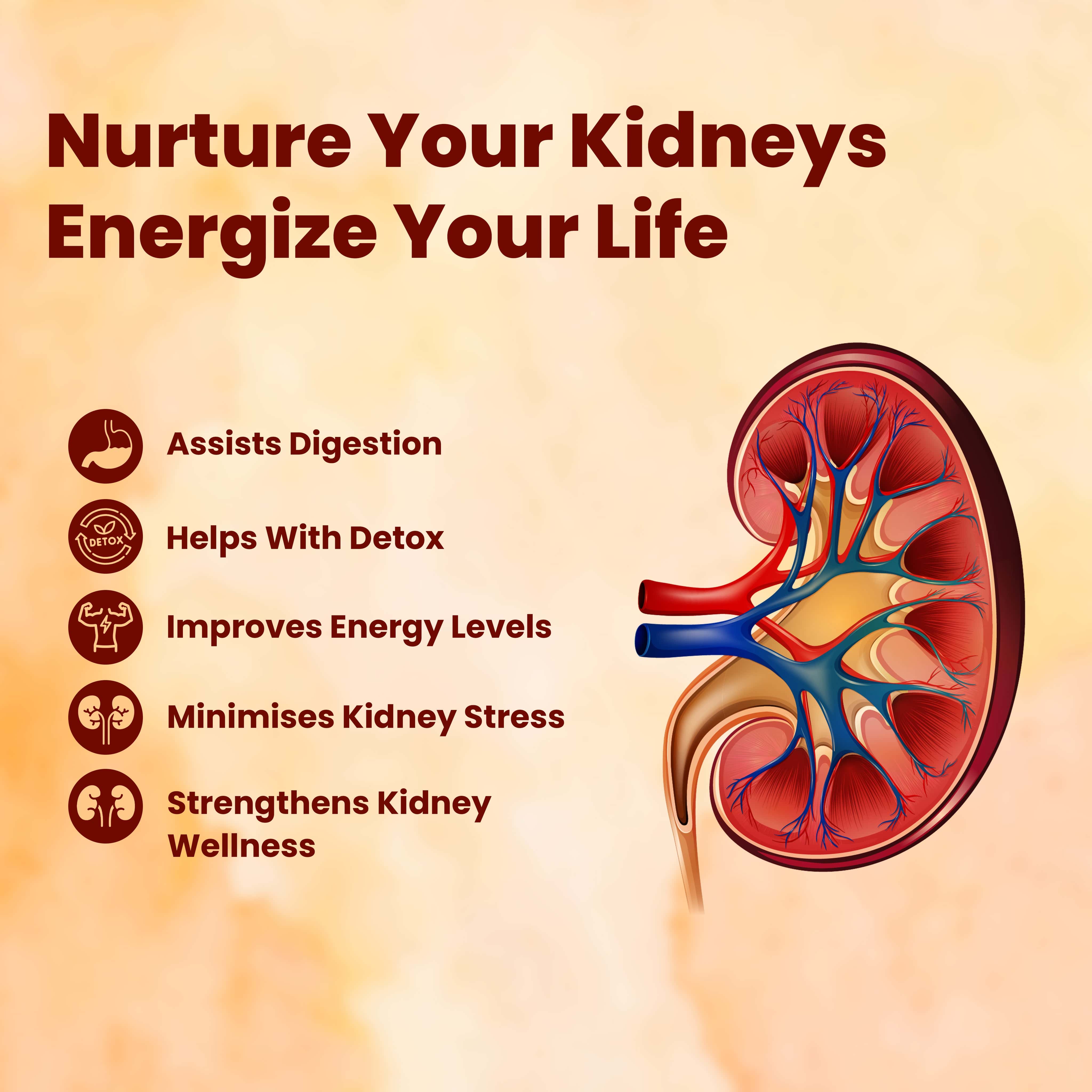 CKD Syrup | Ayurvedic Kidney Support, Urinary Comfort & Fluid Balance - Image 4