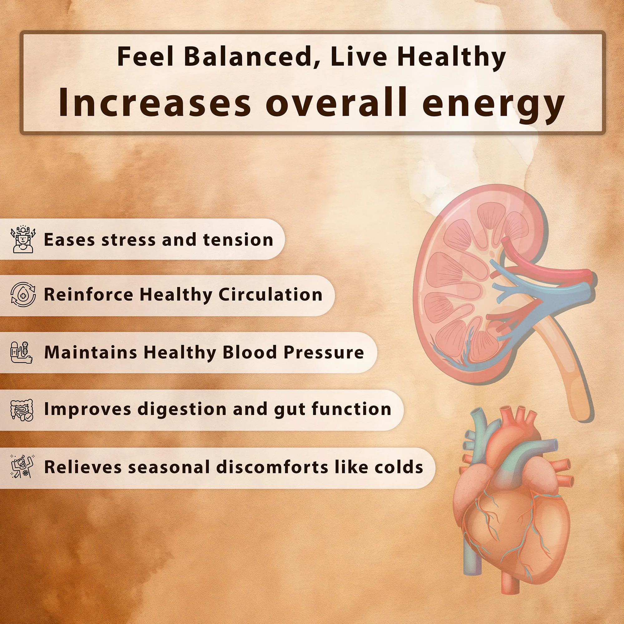 Dr. Diab Tablets | Ayurvedic Blood Sugar Support | Heart & Kidney Wellness - Image 3