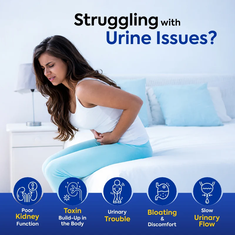 Dr. Kidney Care Tablets | Promote Kidney Health, Detox & Smooth Urine Flow Naturally - Image 3