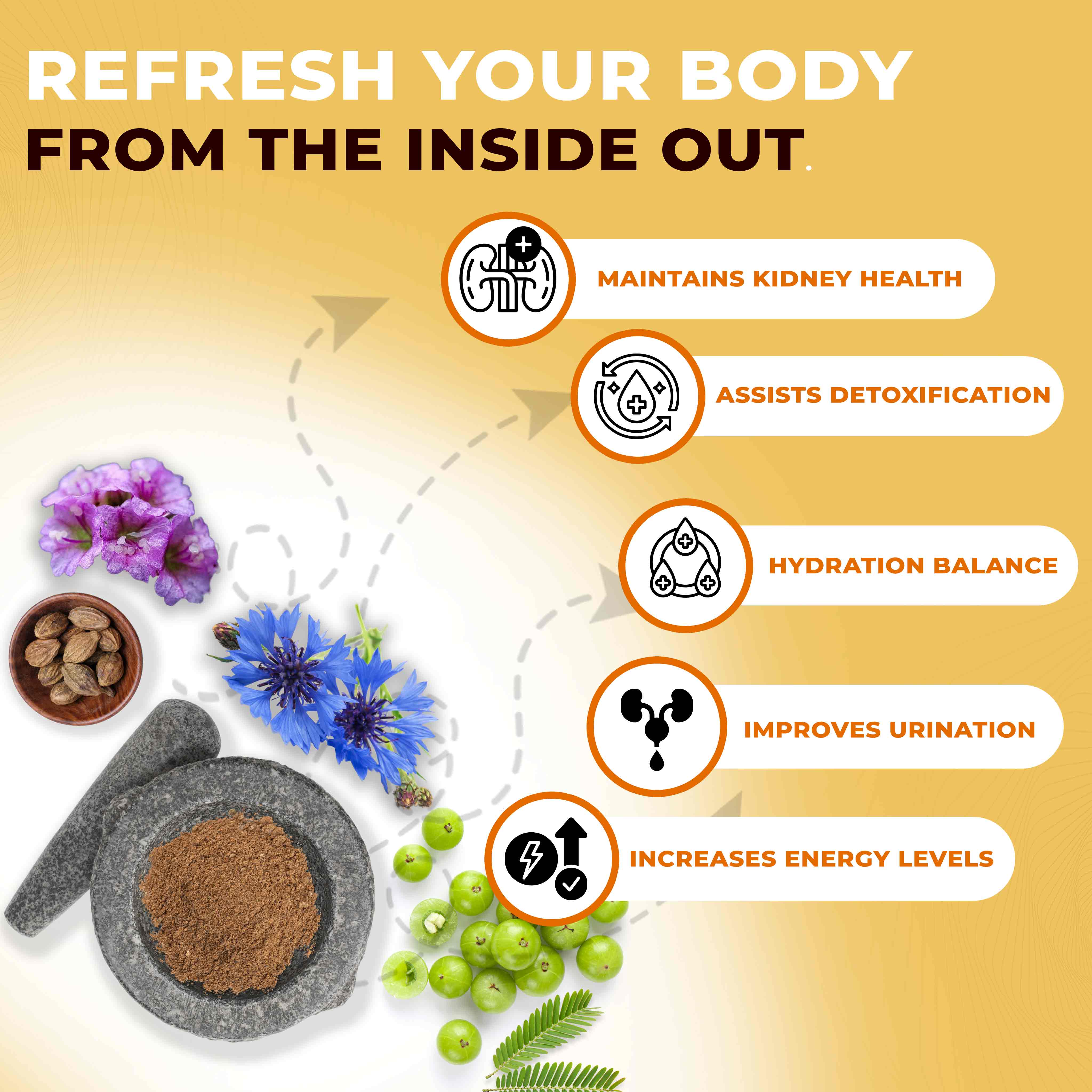GFR Powder | Ayurvedic Herbal Kidney Care Powder for Detox, Urinary Balance & Energy Support - Image 3