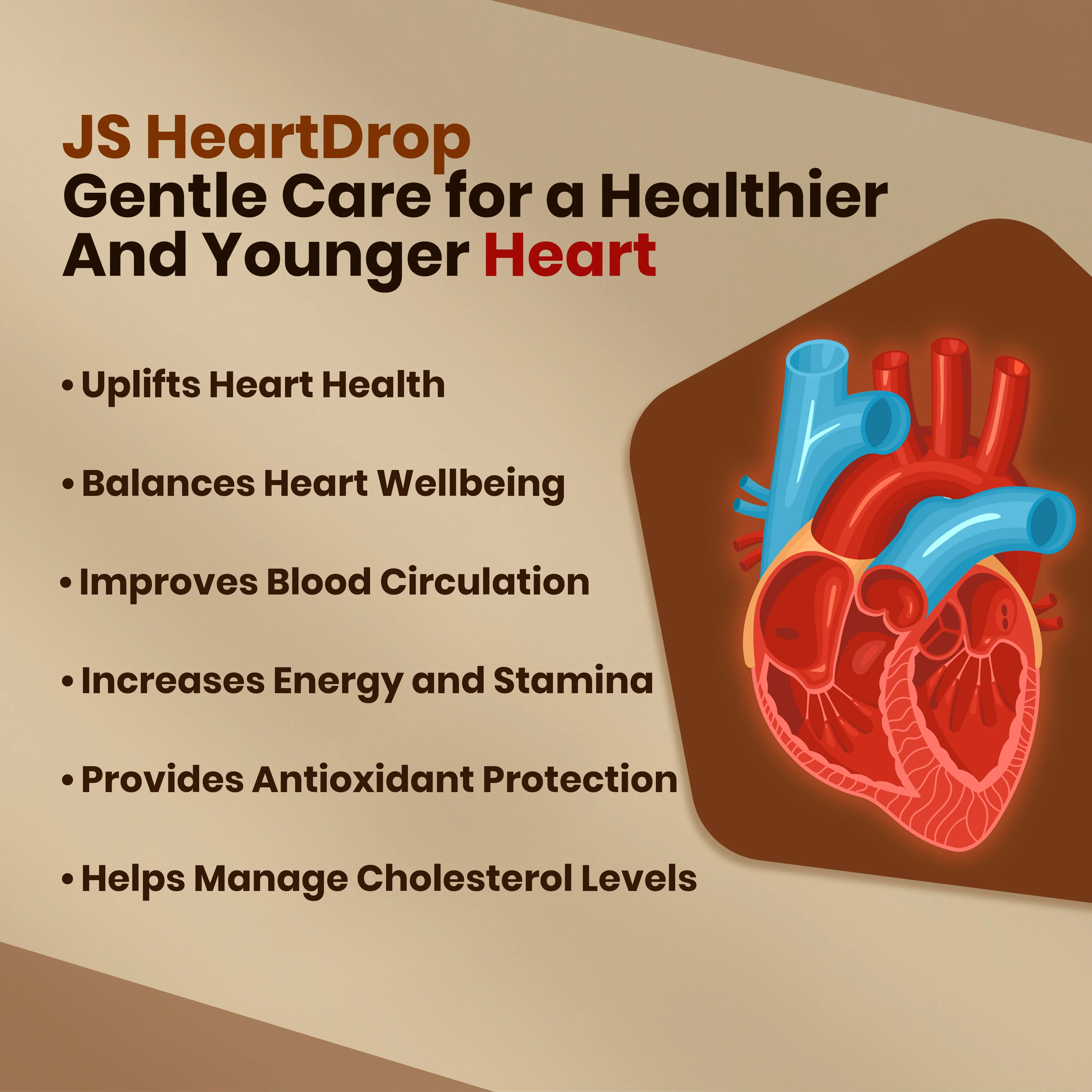 HeartJS Drops | Daily Heart Care | Circulation & Cholesterol Support - Image 3