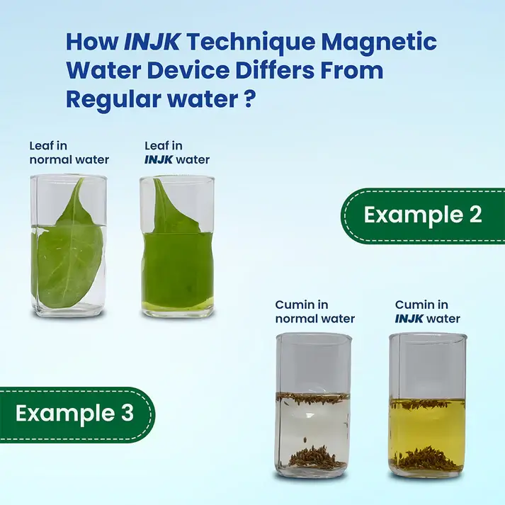 Jeena Sikho Magnetic Living Water Device - Image 11