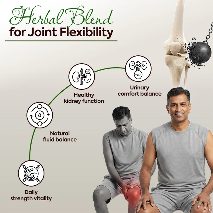 Joint Care Combo | Asthi Care Juice + Go Flexi Capsules + Pet Shuddhi Kit | Ayurvedic Support for Joint Health & Mobility - Image 4
