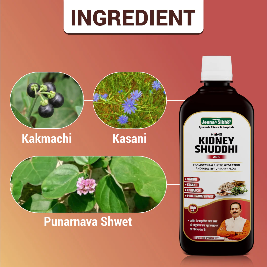 Kidney Shuddhi Ark | Ayurvedic Kidney & Detox Support - Image 3
