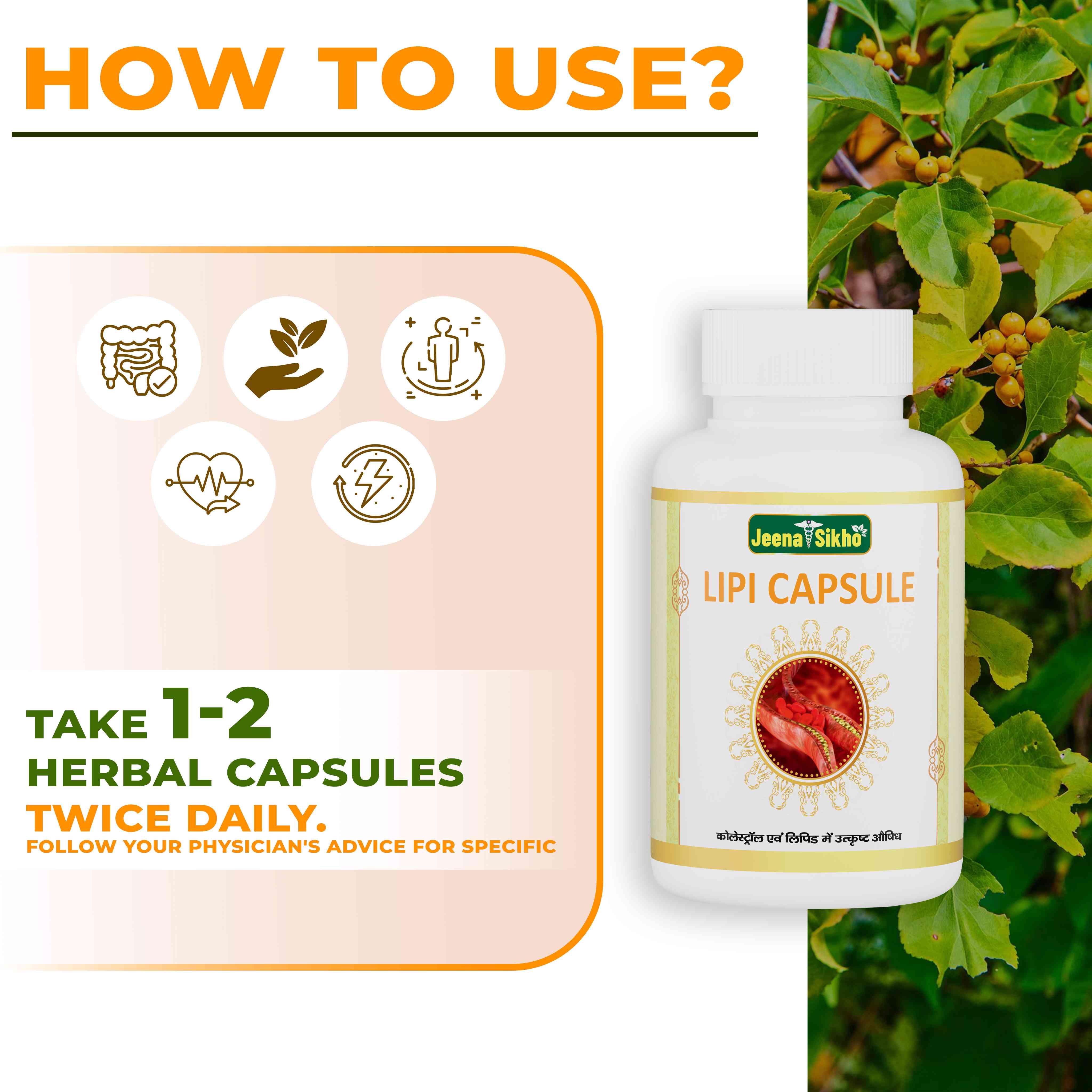 Lipi Capsules | Ayurvedic Cholesterol, Heart & Circulation Support - Image 5