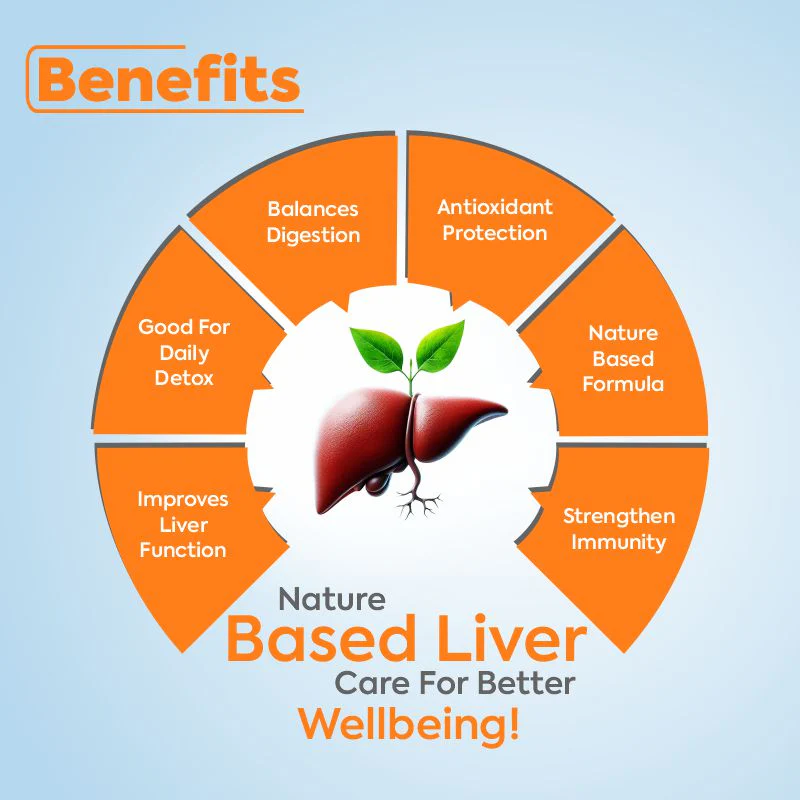 LIV-DS | Ayurvedic Liver Detox Support & Protection Care Capsules - Image 4