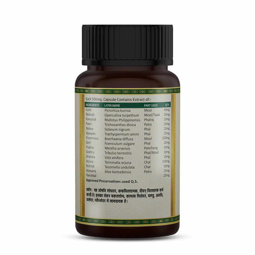 Livchronic Capsules | Ayurvedic Liver Support for Digestion, Metabolism & Detox Balance - Image 2