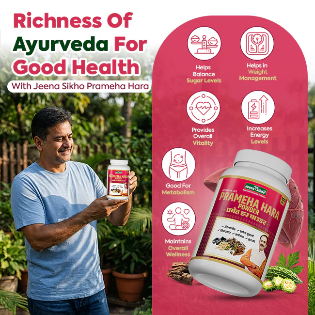 Prameha Hara Powder | 100 gm - Image 4