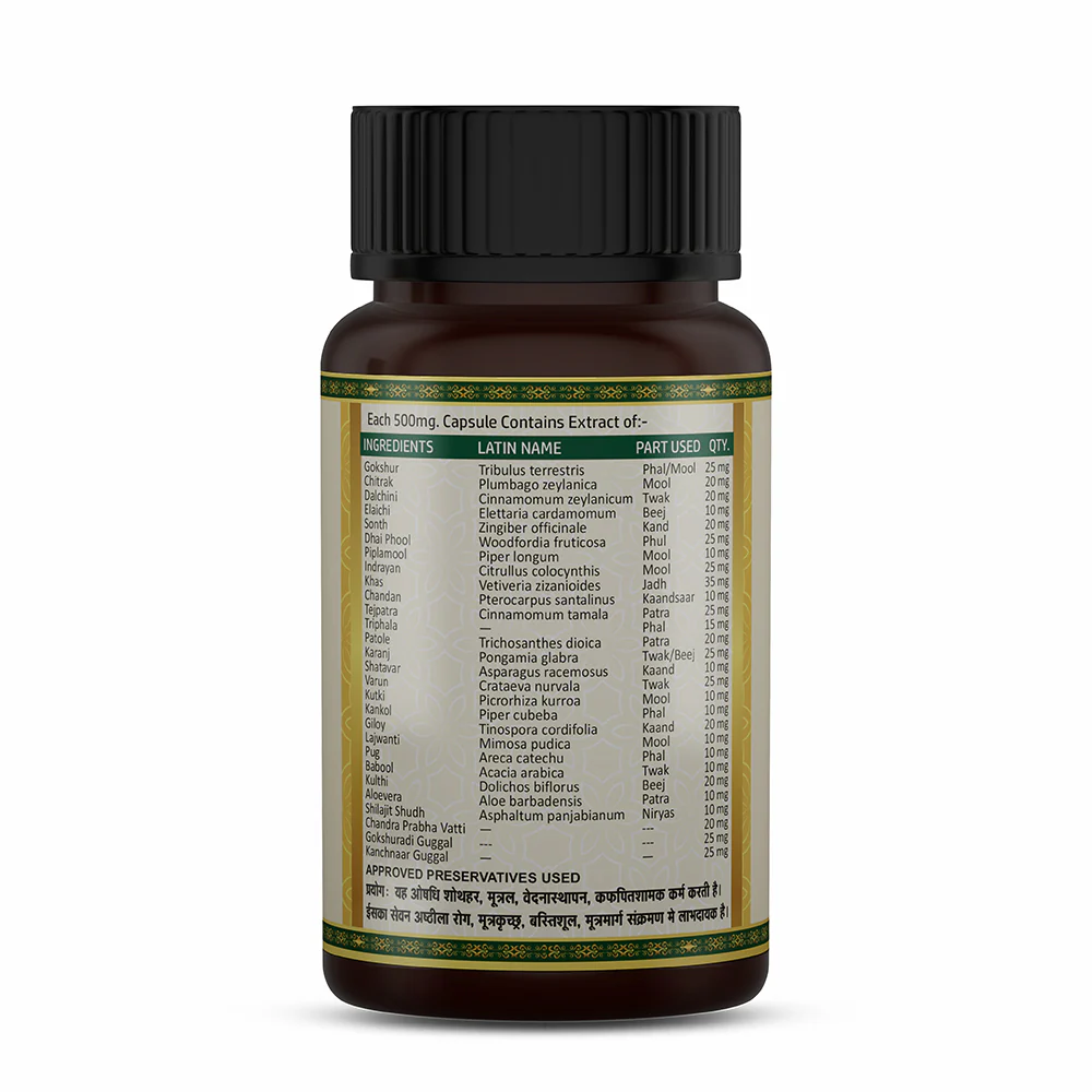 Prosta Relief Capsules | Ayurvedic Prostate Wellness & Urinary Comfort Support - Image 3