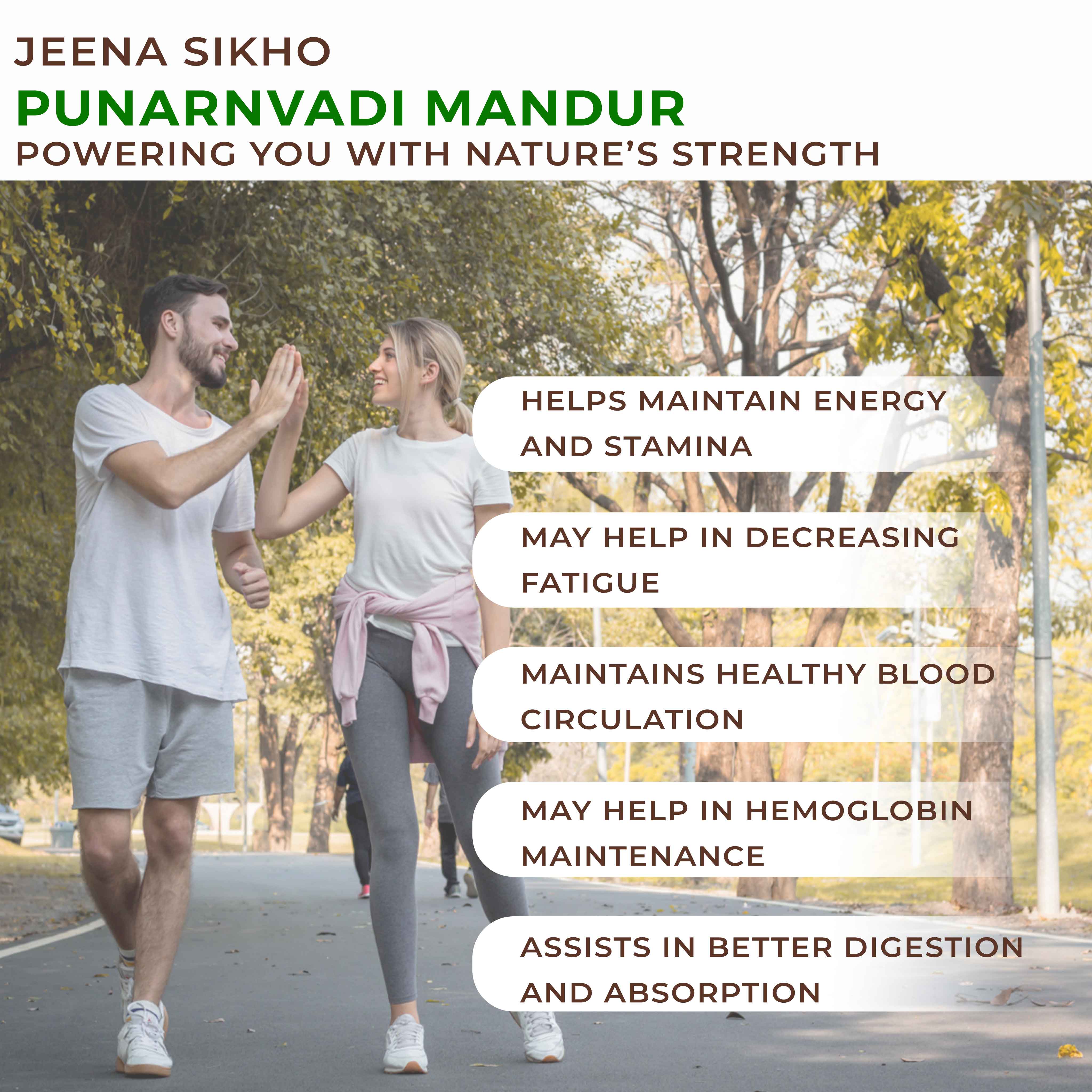 Punarnvadi Mandur | Ayurvedic Fatigue, Energy & Immunity Support Tablets - Image 3