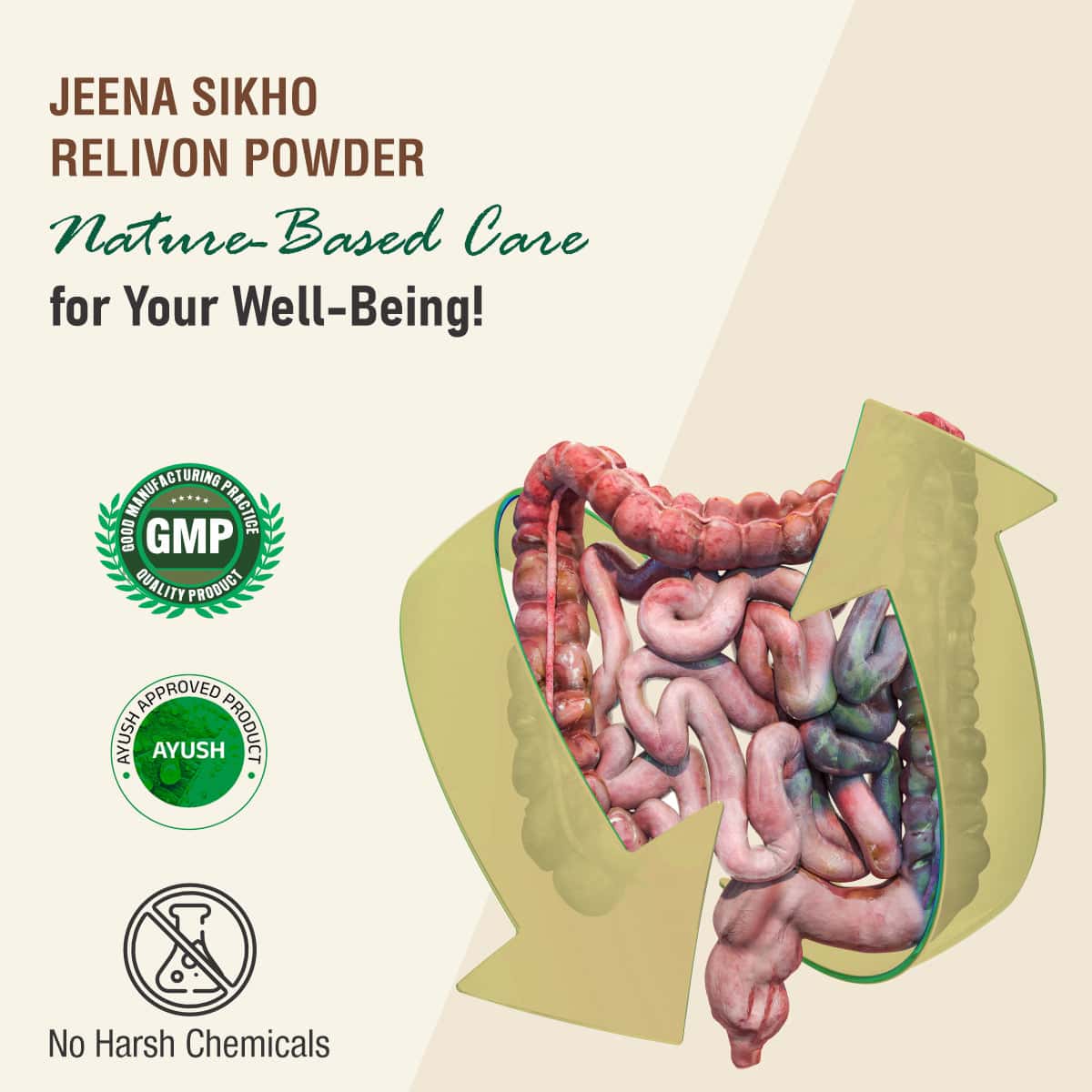 Relivon Powder | Ayurvedic Gut Health & Digestion Support Formula - Image 4