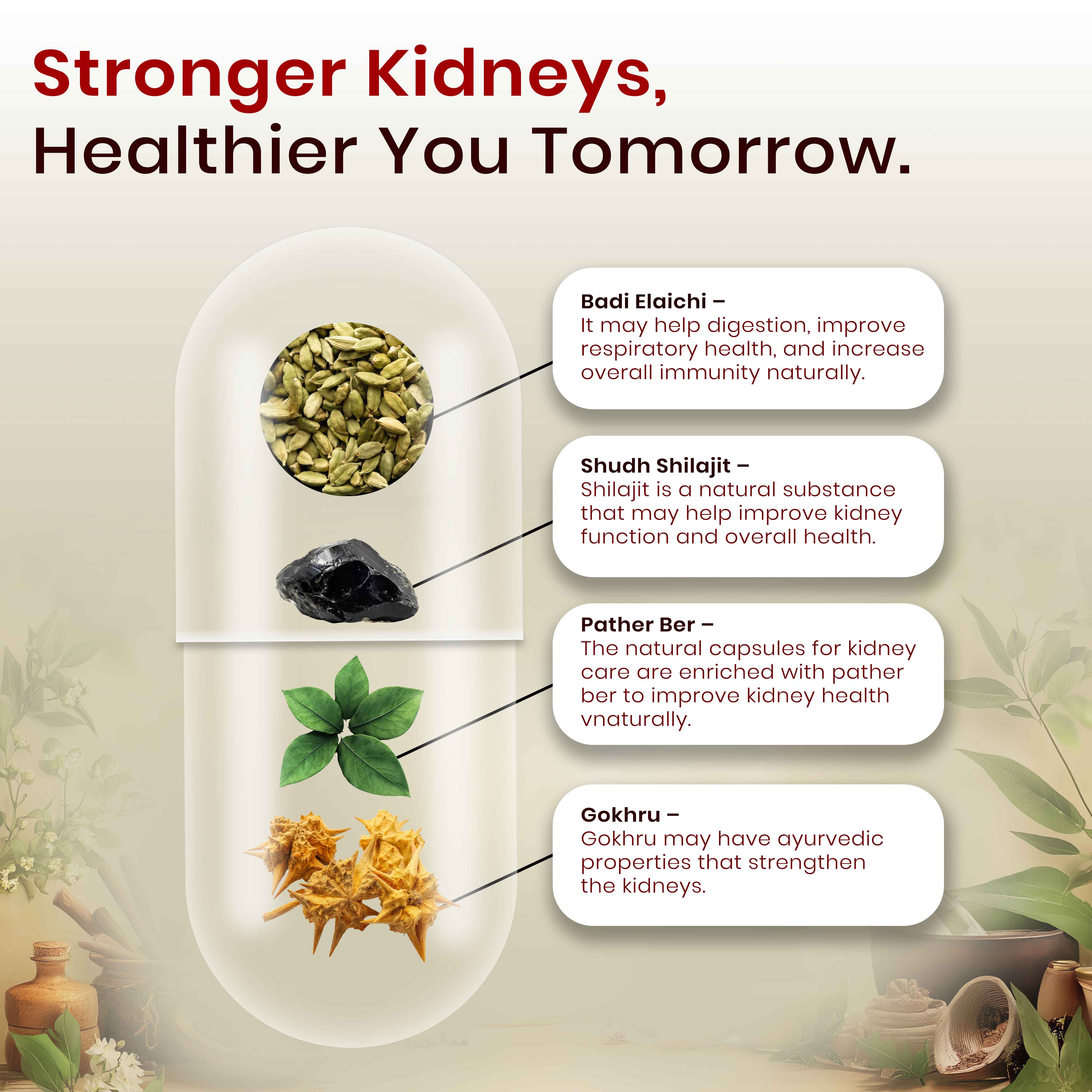 Stoni Capsules | Ayurvedic Kidney Stone Care & Urinary Support | Herbal Detox Formula - Image 5