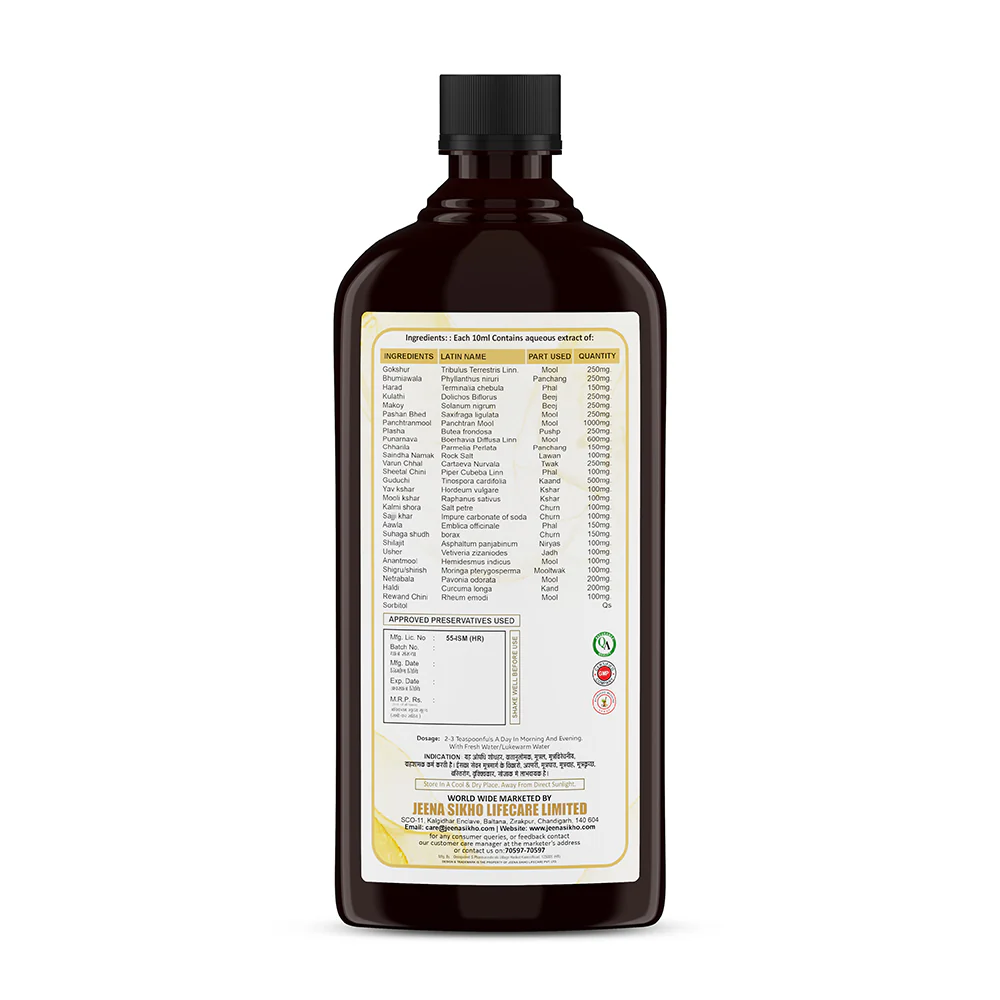 URO Cleanse Syrup | Ayurvedic Urinary Comfort, Internal Cleansing & Kidney Wellness Support - Image 2